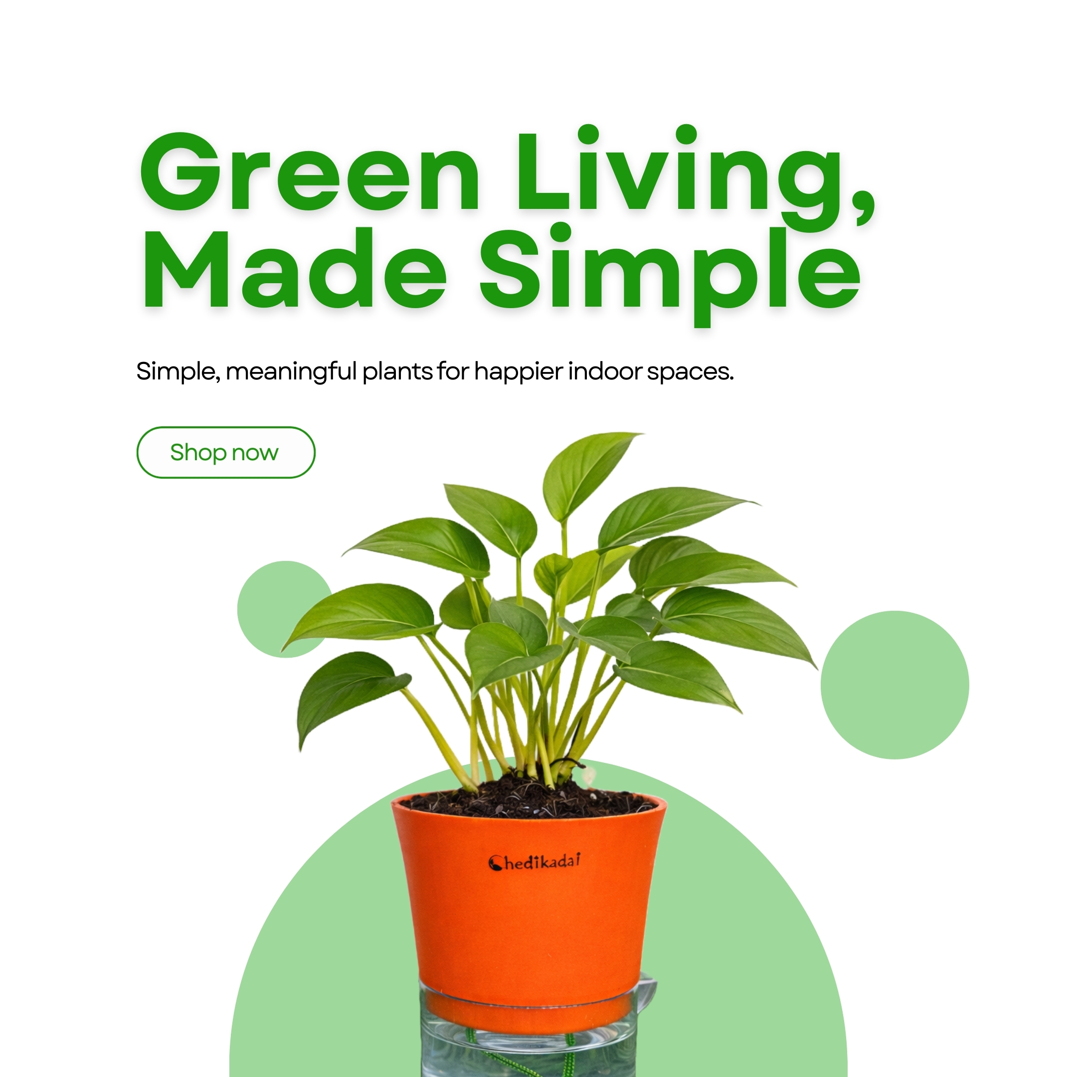 Green Living Made Simple