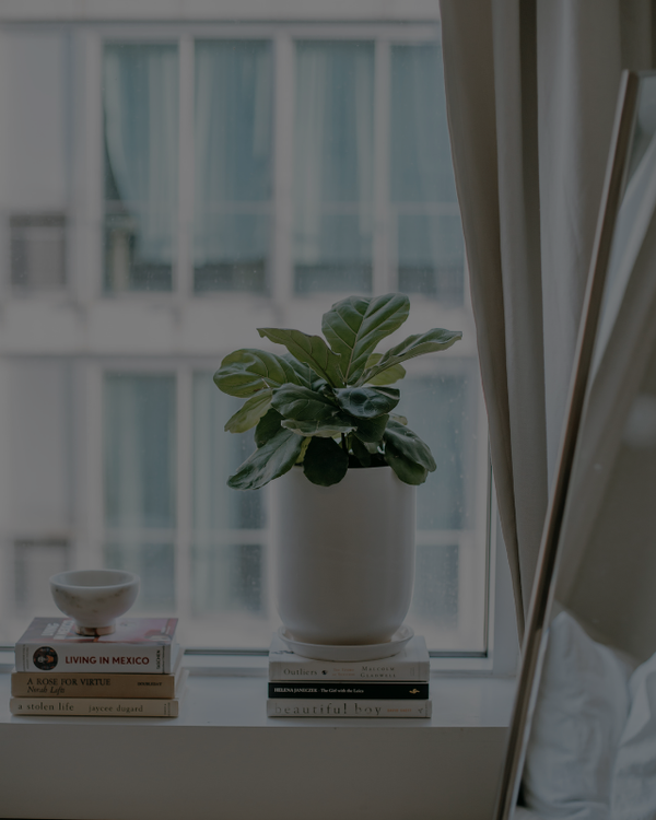 Smart Plant Care Module